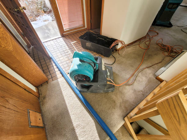 Best 24/7 water damage repair  in Cheviot, OH