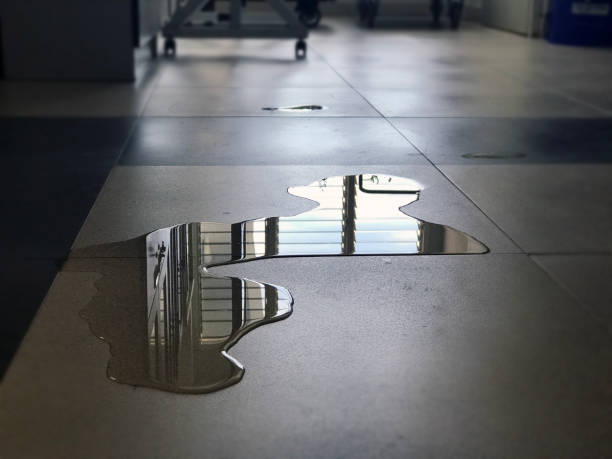 Best Local water damage restoration  in Cheviot, OH