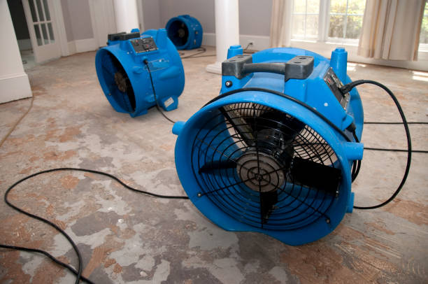 Best Water damage cleanup near me  in Cheviot, OH