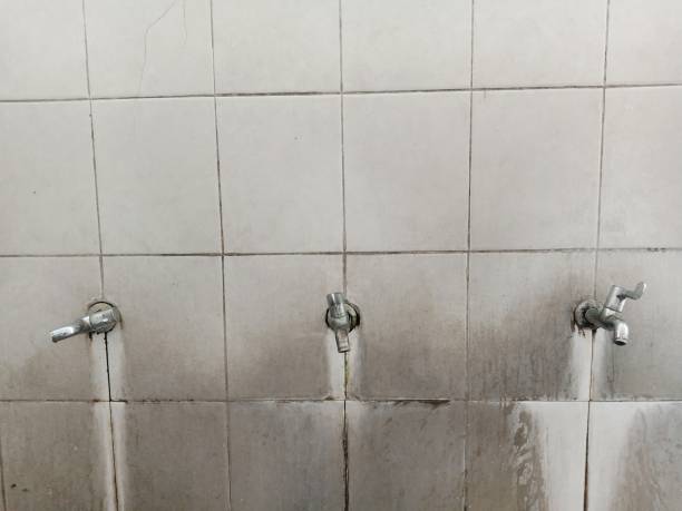 Best Basement water damage restoration  in Cheviot, OH