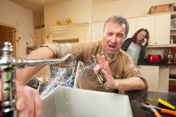 Best Ceiling water damage repair  in Cheviot, OH